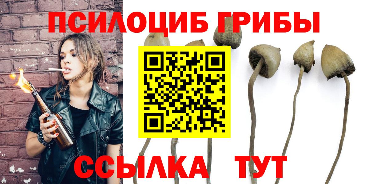 Псилоцибиновые грибы MAGIC MUSHROOMS  Псилоцибиновые грибы Psilocybe  купить наркотик  Славянск-на-Кубани  Вход с VPN 