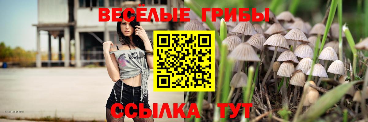 Галлюциногенные грибы GOLDEN TEACHER Славянск-на-Кубани